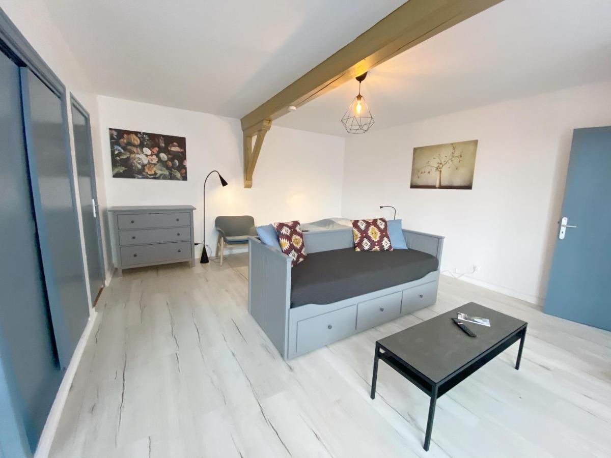 015 Chic & Cosy Studio 41M2 Hypercentre Wifi Smart Tv Netflix Saint-Etienne  Exteriör bild