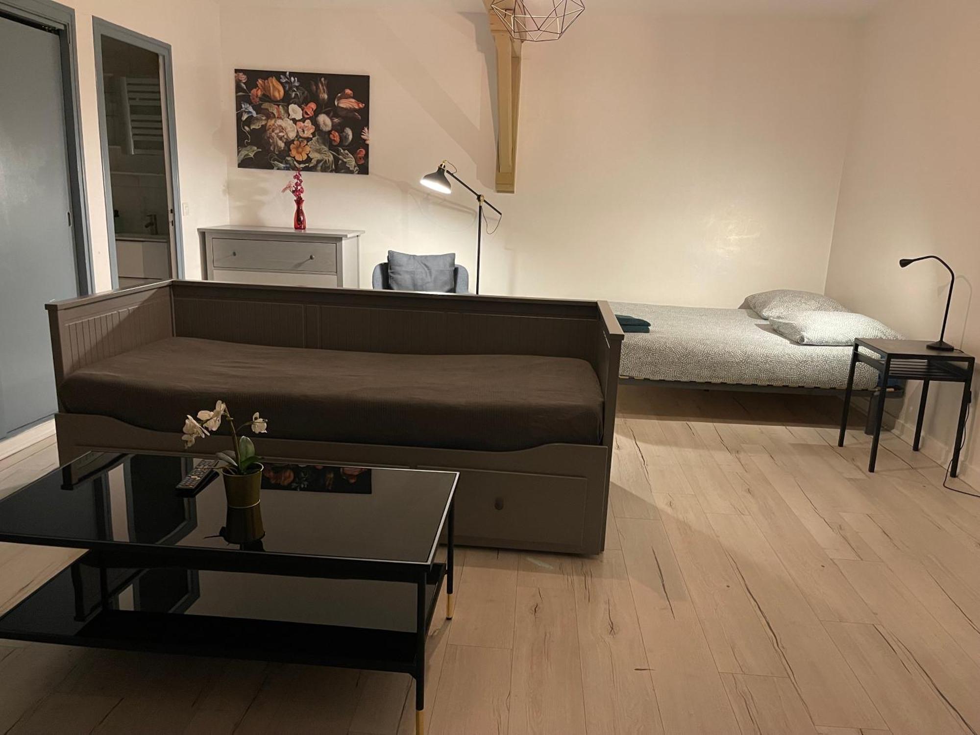 015 Chic & Cosy Studio 41M2 Hypercentre Wifi Smart Tv Netflix Saint-Etienne  Exteriör bild